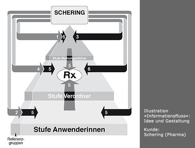 Visualisierung Informationsfluss bei Schering, vergrössert